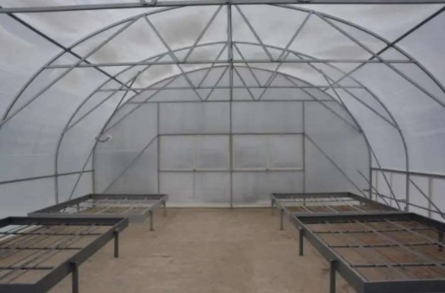 На Волині запрацюють лісонасіннєві заводи. ФОТО