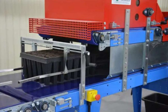 На Волині запрацюють лісонасіннєві заводи. ФОТО