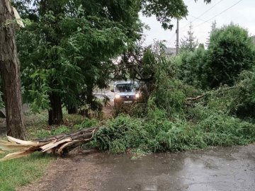 У місті на Волині ліквідовують наслідки негоди. ФОТО