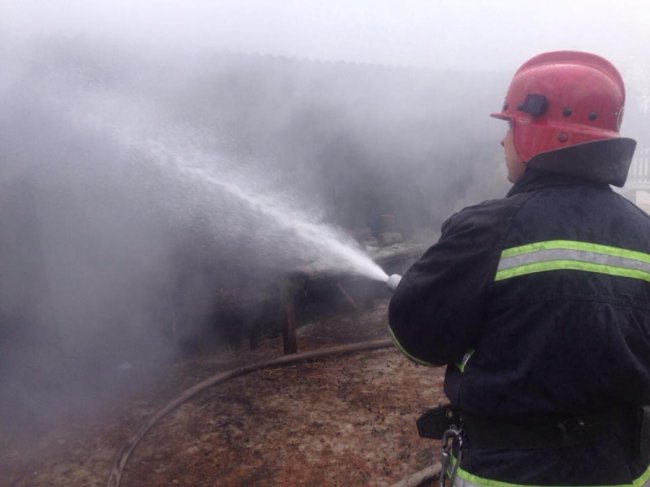 Декілька пожежних команд годину гасили хлів