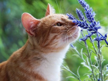 Погода у Луцьку на завтра, 26 травня