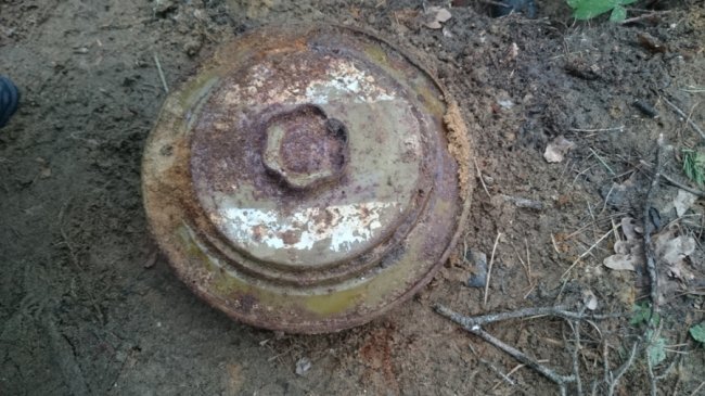 Весняні «знахідки» волинських селян знищили піротехніки