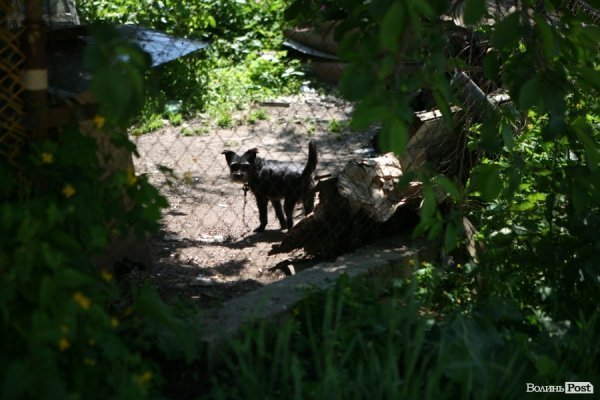 Кожен охороняє свою нору