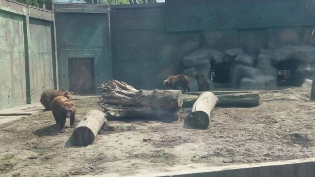 Луцький зоопарк опублікував зворушливі історії тварин, врятованих від смерті. ФОТО