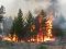Волинянин ненароком спалив 1,2 гектара лісу
