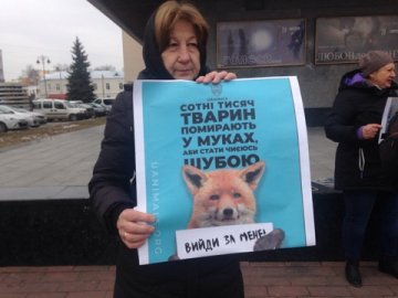 Електричний струм та газова камера: у Луцьку розповідають, як на хутряних фермах вбивають тварин. ФОТО