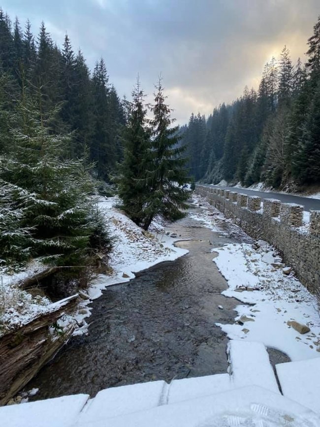 На Закарпатті відкрили найбільш високогірну дорогу України. ФОТО