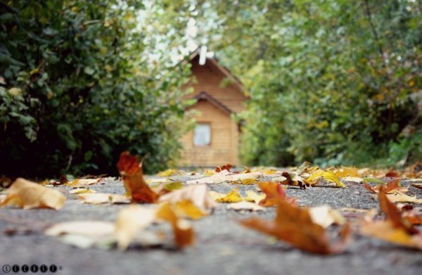 Фотовиставка Олександри Містюк