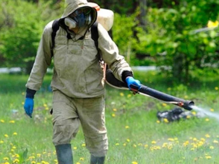 Парки та пляжі в Луцьку оброблятимуть від кліщів