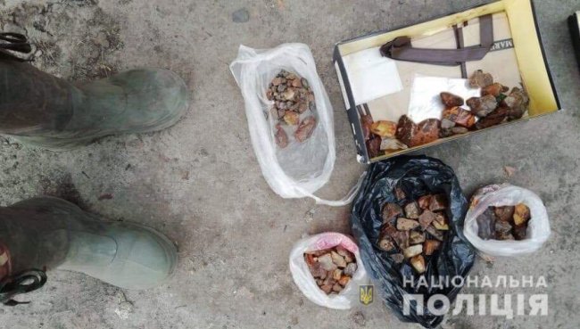 На Волині на місці злочину затримали бурштинокопачів. ФОТО