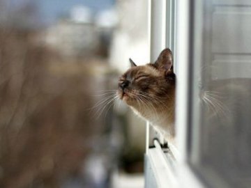 Синоптики обіцяють значне потепління по Україні