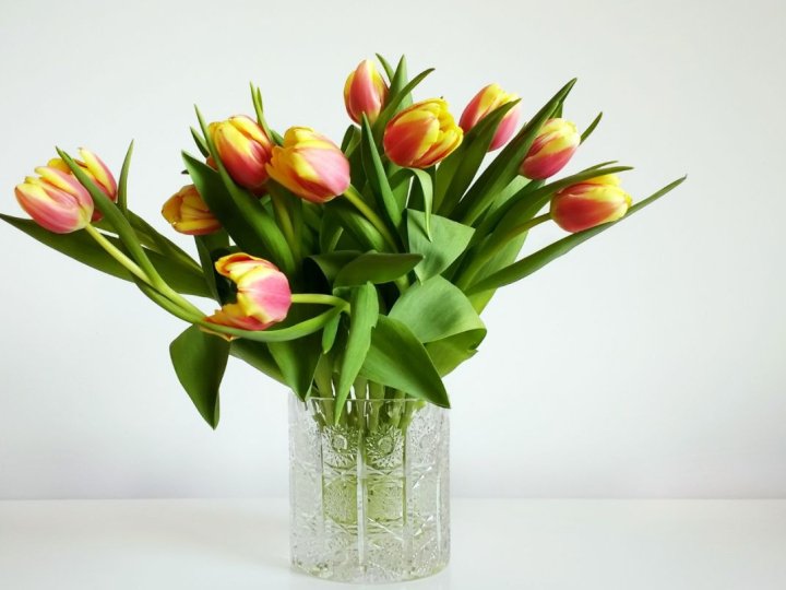 Якою буде погода у Луцьку та на Волині 10 березня