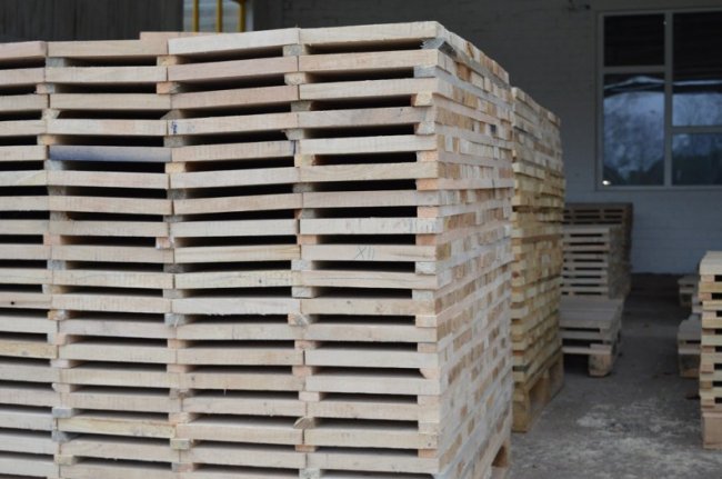 На Волині запрацювала сучасна лінія з переробки деревини. ФОТО 