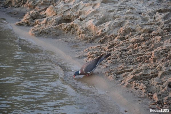 Де відпочивають волиняни: Гряда. ФОТО