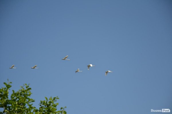 Де відпочивають волиняни: Гряда. ФОТО