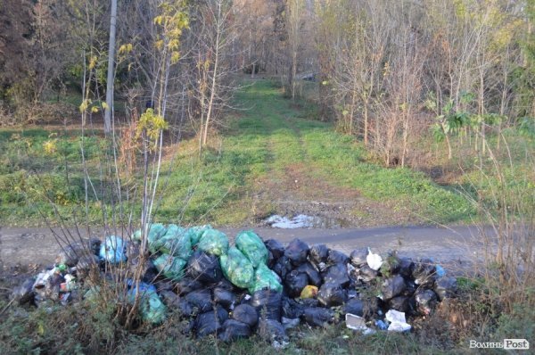 Невідомі звозять до луцького парку купи сміття. ФОТО