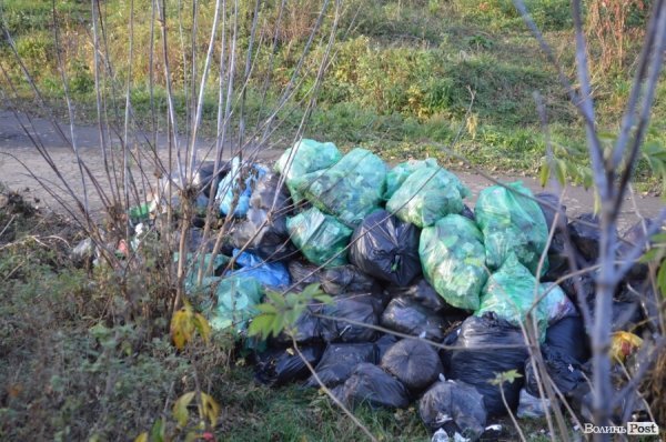 Невідомі звозять до луцького парку купи сміття. ФОТО