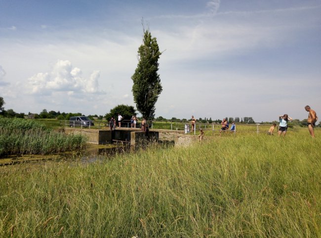 На Волині біля річки, де купаються люди, викинули величезну купу курячого посліду