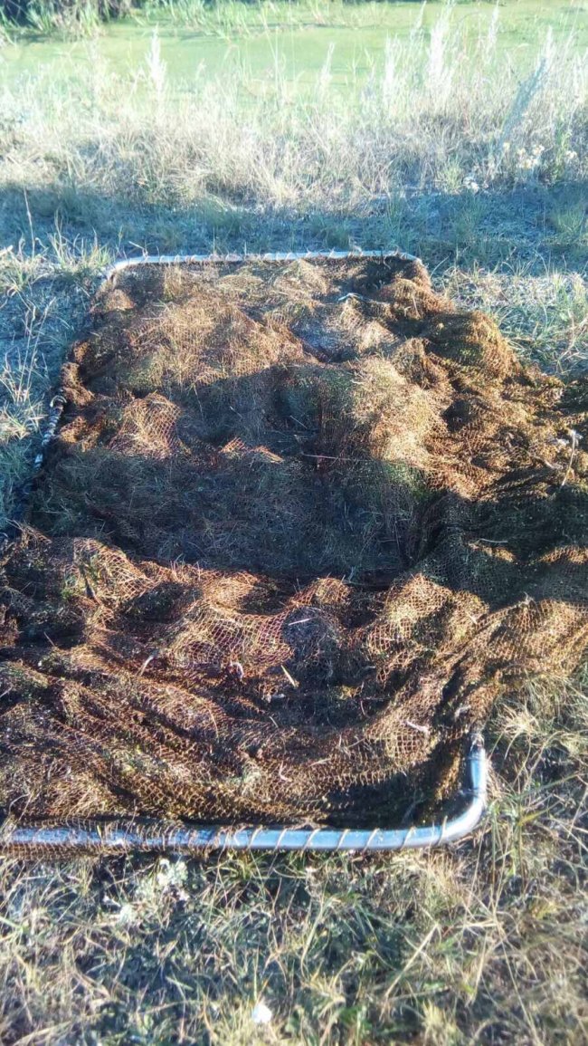 На Любомльщині четверо рибалок-браконьєрів натягали сітками риби на понад 12 тисяч 