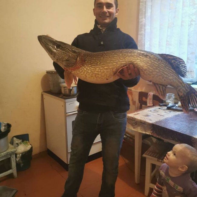На Волині чоловік упіймав гігантську щуку. ФОТО