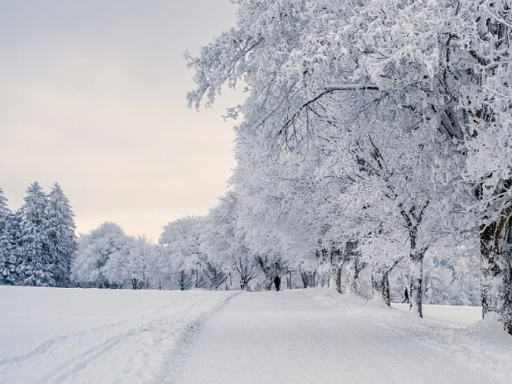 Якою буде погода у Луцьку та на Волині у неділю, 1 лютого