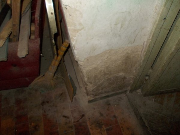 Грибок, корозія і дірявий дах: яким продали кінотеатр «Промінь». ФОТО