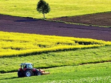 Скільки волиняни заробляють на землі, яку здають в оренду