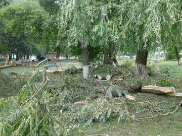 У Луцьку посеред дитмайданчика – купа гілля. ФОТО