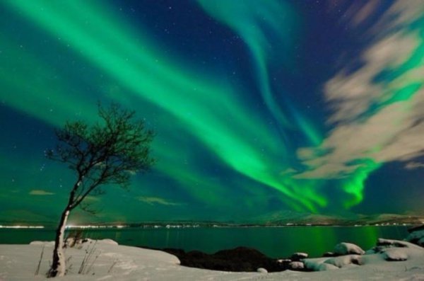 Несподівані фото української символіки. ФОТО