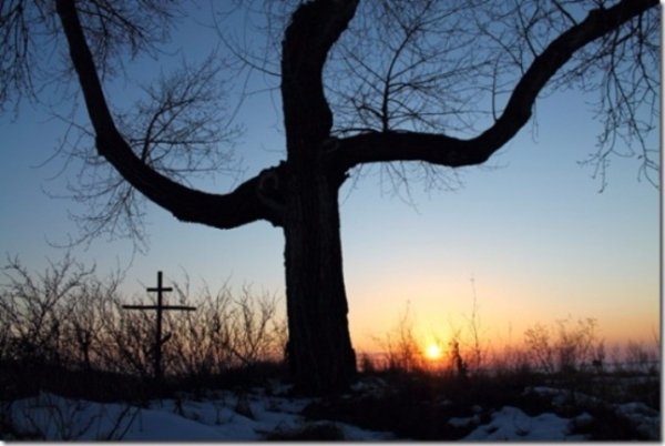 Несподівані фото української символіки. ФОТО