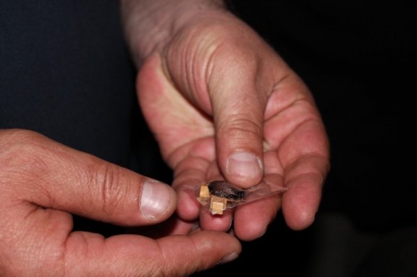 Як «Самооборона» Волині виїжджала на Схід. ФОТО. ВІДЕО