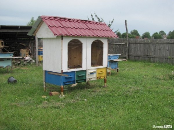 Волинський фермер спить на бджолах. ФОТО