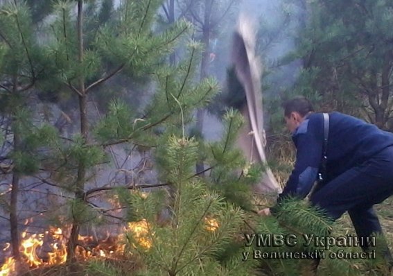 На Волині гасили лісову пожежу