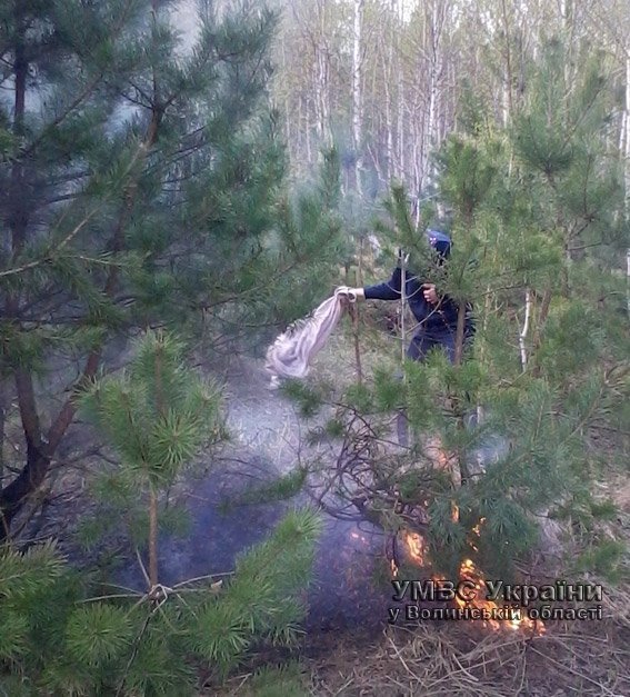 На Волині гасили лісову пожежу