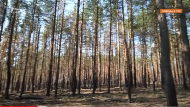 Як бійці Волинської бригади тероборони тримають фронт в лісах біля Кремінної: репортаж з передової