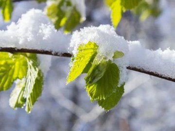 Погода на завтра, 6 квітня, у Луцьку та Волинській області