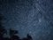 Фотограф з Волині зазнімкував неймовірний зорепад. ФОТО