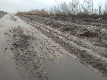 Замість дороги - болото: у селі на Волині немає асфальту. ФОТО