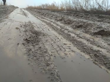 Замість дороги - болото: у селі на Волині немає асфальту. ФОТО