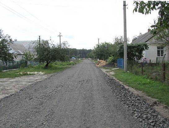 У місті на Волині пенсіонерка «втерла носа» меру. ФОТО