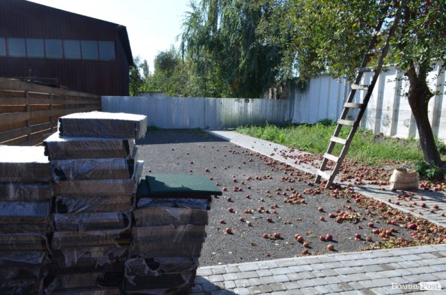 Показали умови, у яких живуть тварини в луцькій «Ласці». ФОТО
