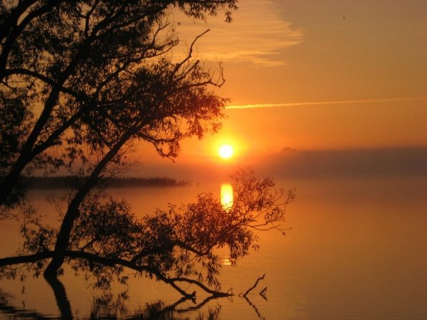 Автор - Жипа Андрій