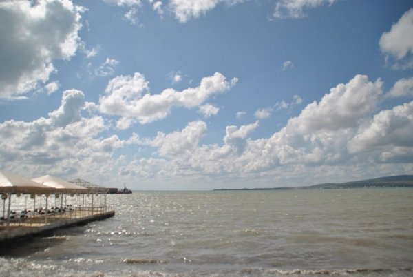 Автор - Новосад емілія