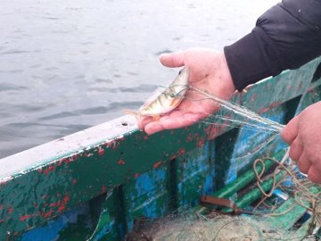 На озері Світязь браконьєри ловили рибу сітками. ФОТО