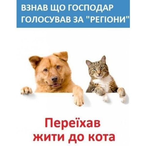 Вибори і глум: смішні написи на бюлетенях, фотожаби і демотиватори