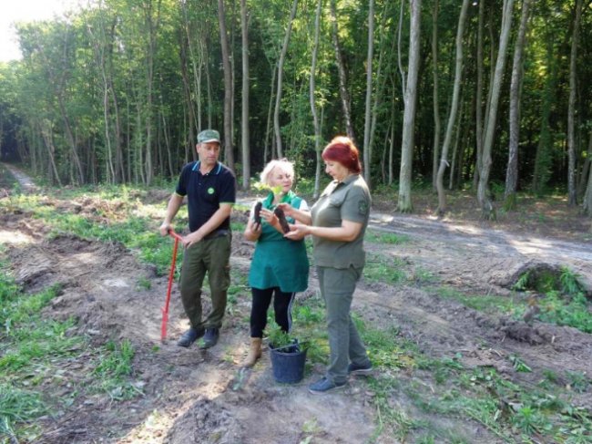У селі біля Луцька висадили сіянці дуба. ФОТО