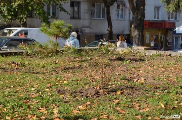 У центрі Луцька озеленили сквер. ФОТО