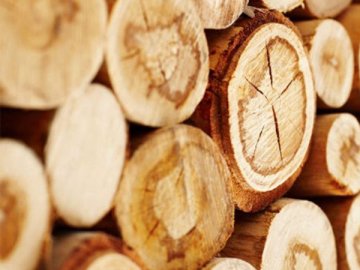 На Волині перекинувся віз із дровами, загинули чоловік з дитиною