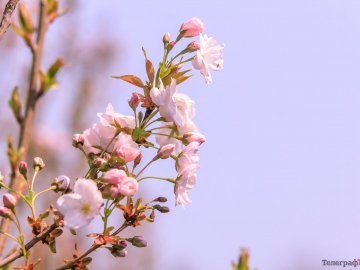 Погода в Луцьку та Волинській області на суботу, 3 квітня