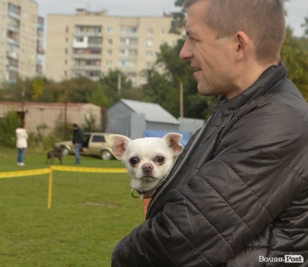 У Луцьку – виставка собак. ФОТО